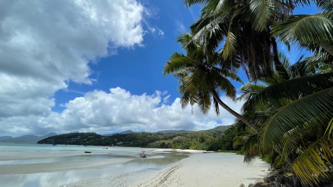 Aparthotel La Trouvaille Anse a La Mouche Esterno foto
