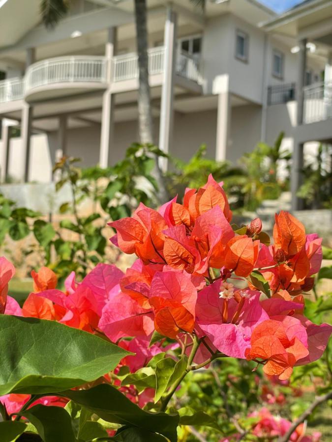 Aparthotel La Trouvaille Anse a La Mouche Esterno foto
