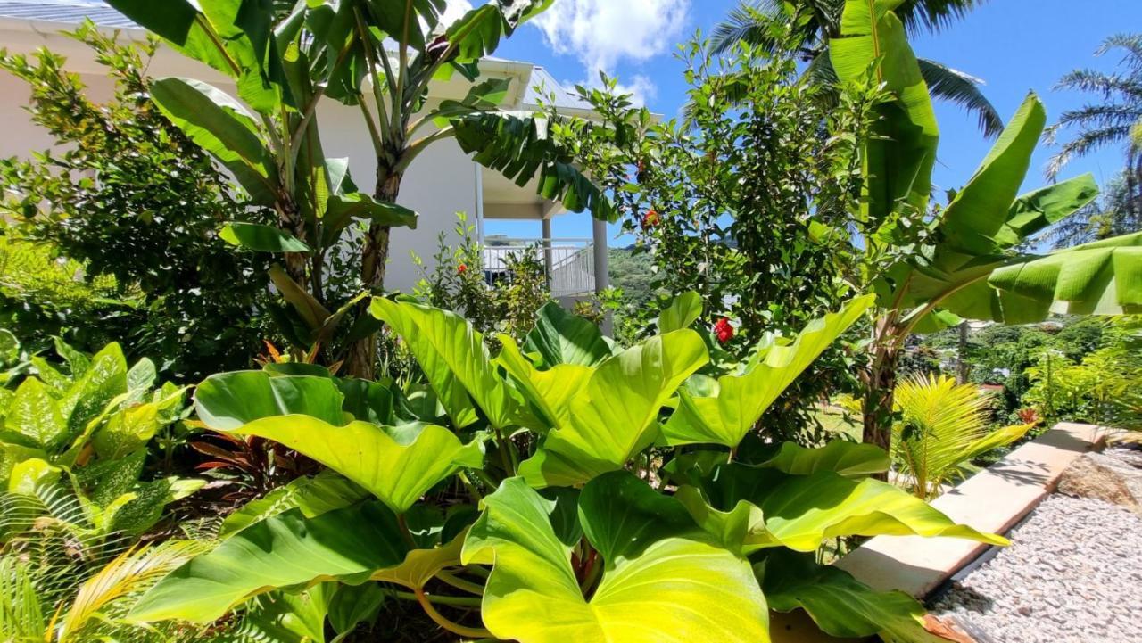 Aparthotel La Trouvaille Anse a La Mouche Esterno foto